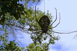 carrick hill 2014 (15)